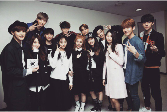 exo-the-ark