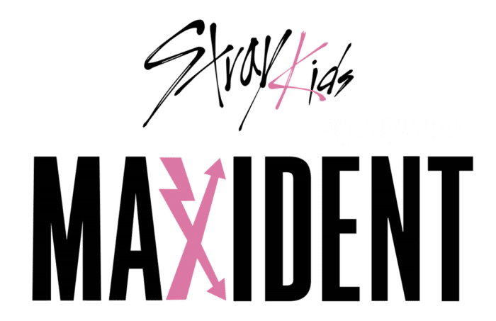 STRAY KIDS "MAXIDENT" - отправка завтра! распродажа!