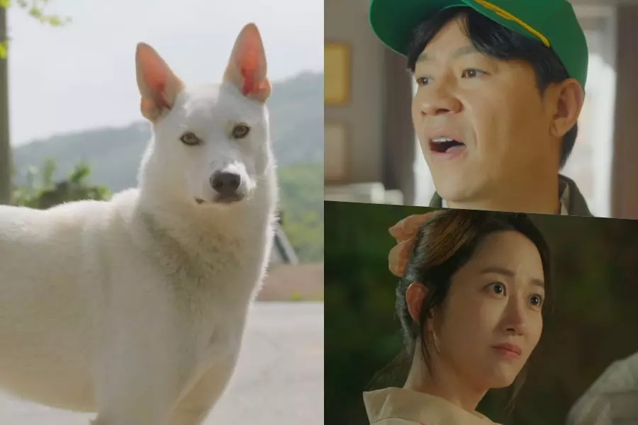 Чон Сан Хун, Чон Хе Бин и собака приносят хаос в деревню в тизере новой комедии «Свиные котлеты»