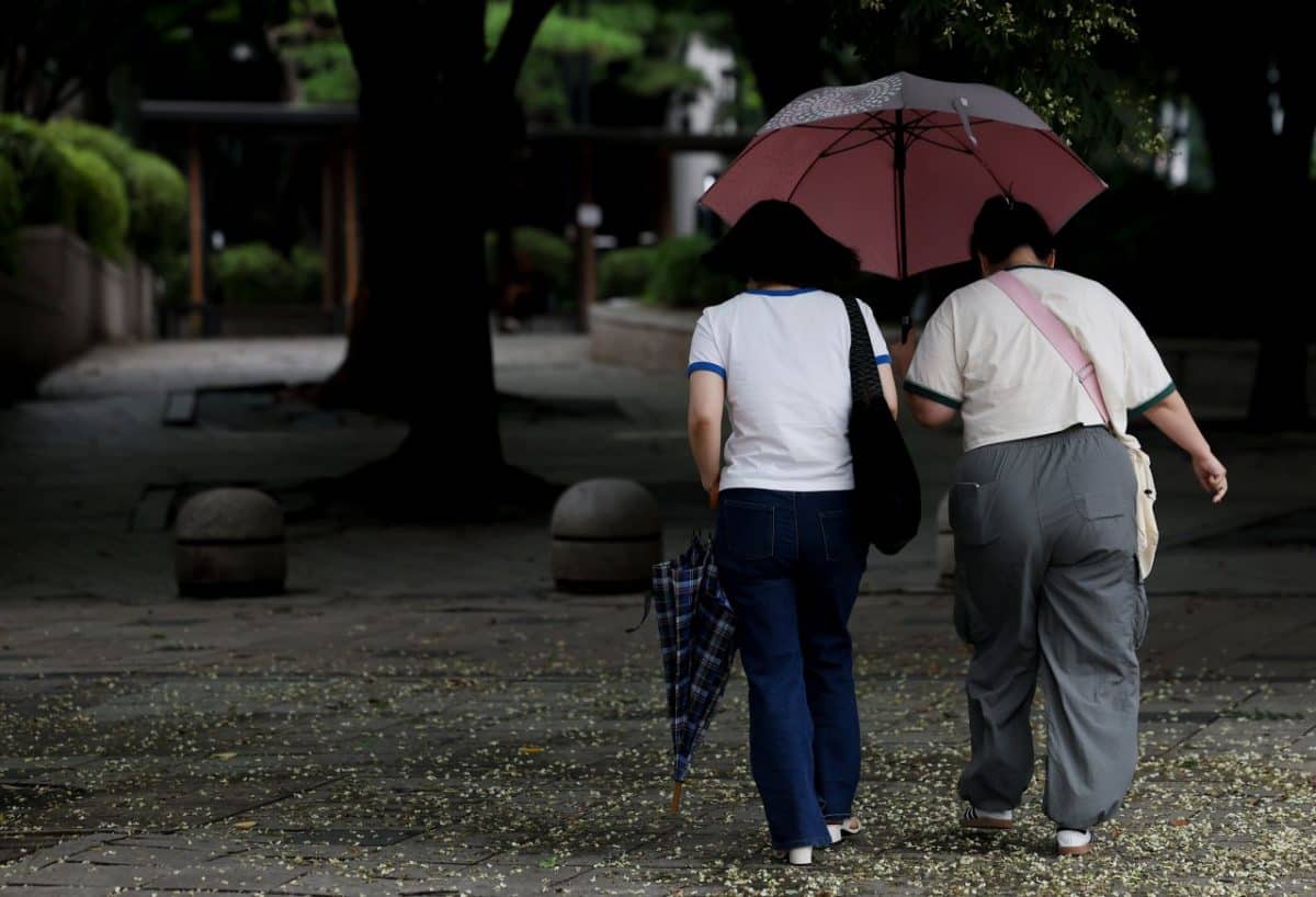 В дождливые дни корейцы часто покупают "корейские блинчики", как показывает статистика