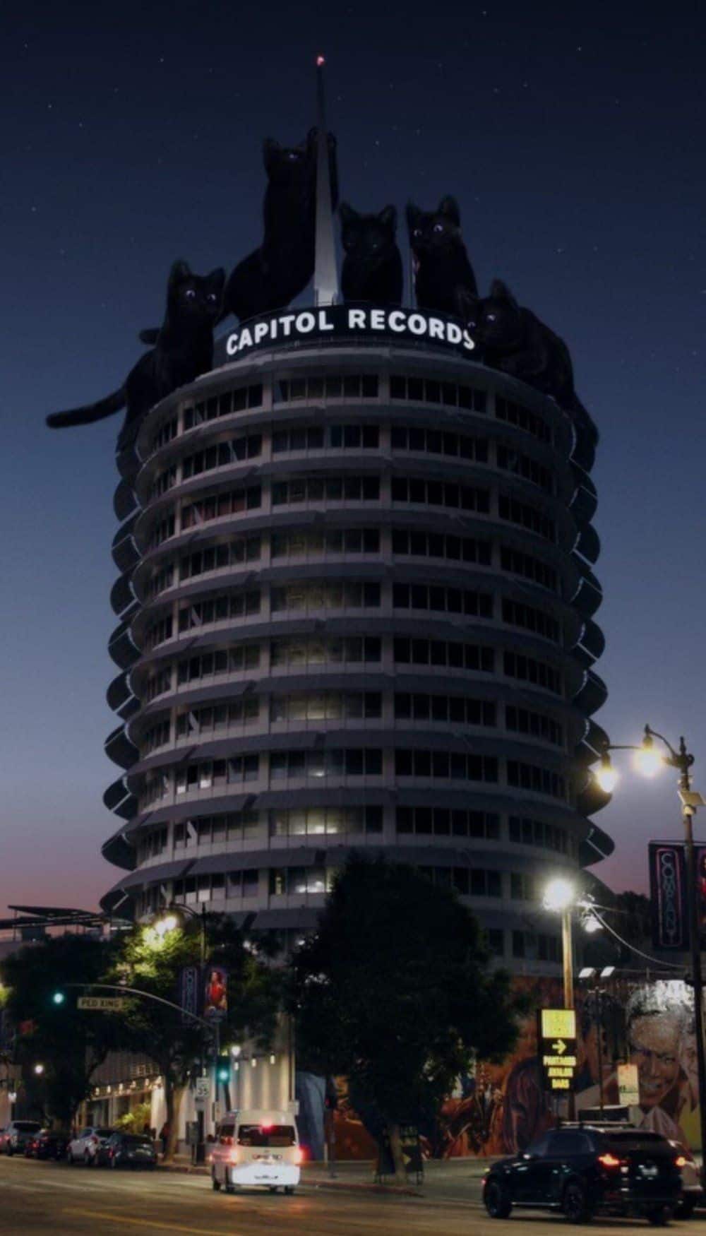 Звукозаписывающий лейбл Capitol Records заключил контракт с группой MEOVV ещё до её дебюта